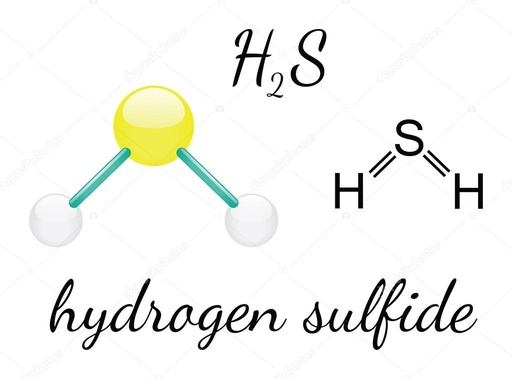 HYDROGEN SULPHIDE AWARENESS